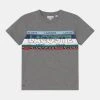 Nouveau ⭐ Lacoste T-shirt Imprimé - Heather Wall/multicoloured ✔️